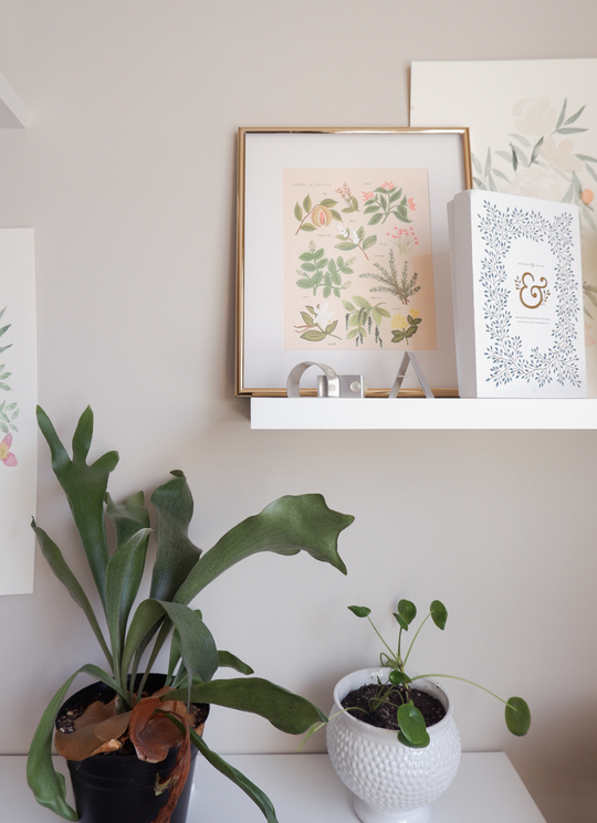 art studio in an apartment