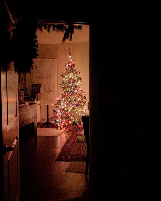 christmas tree in the dark with colored lights